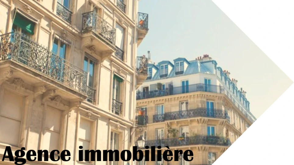 agence immobilière
